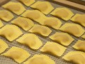 maccheroni pasta A76R1293